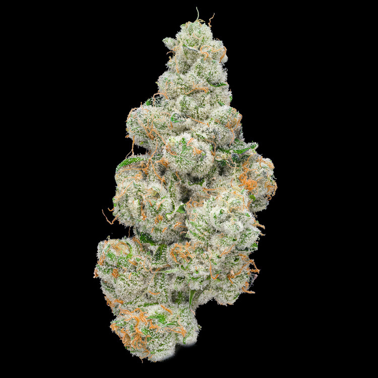 GMO-Si-Do