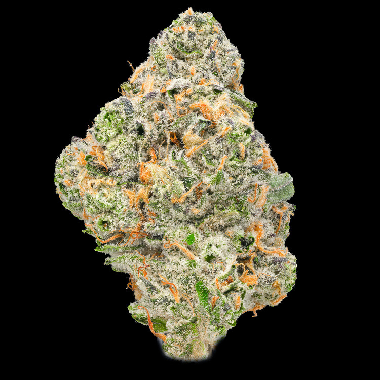 Dirty Martini Platinum Line Bong Buddies