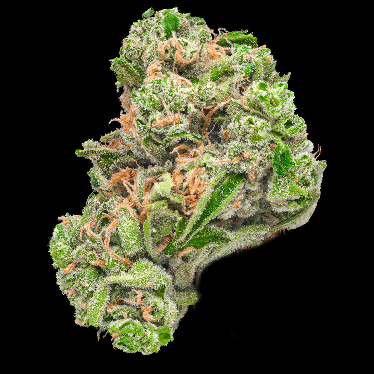 Sour Blue Fruit Bong Buddies