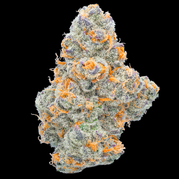 Divine Sugar Cane Tester Flower