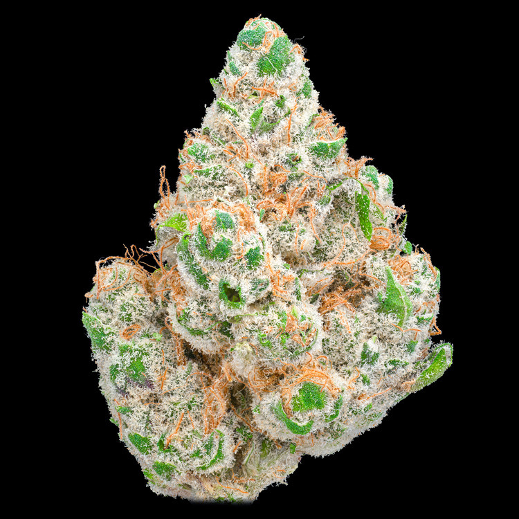 Guava Z
