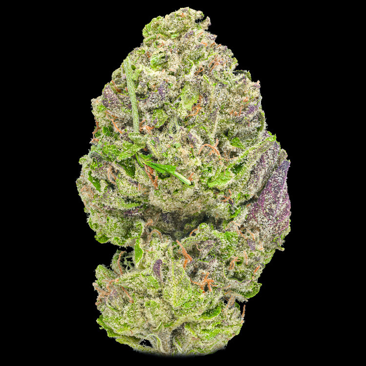 Lemon Cherry Gelato