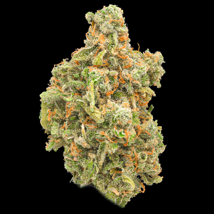 Jack Herer Small Buds