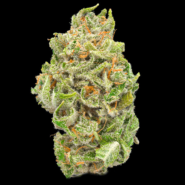 CBD 2:1 Stargazer Myrtle