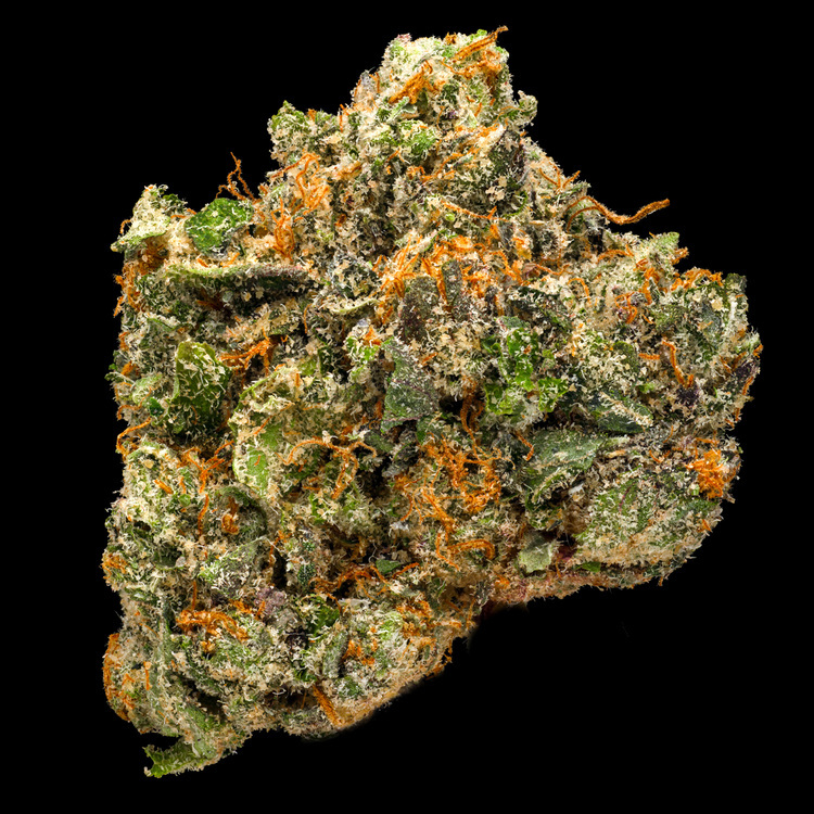 Big Dipper Green House Buds