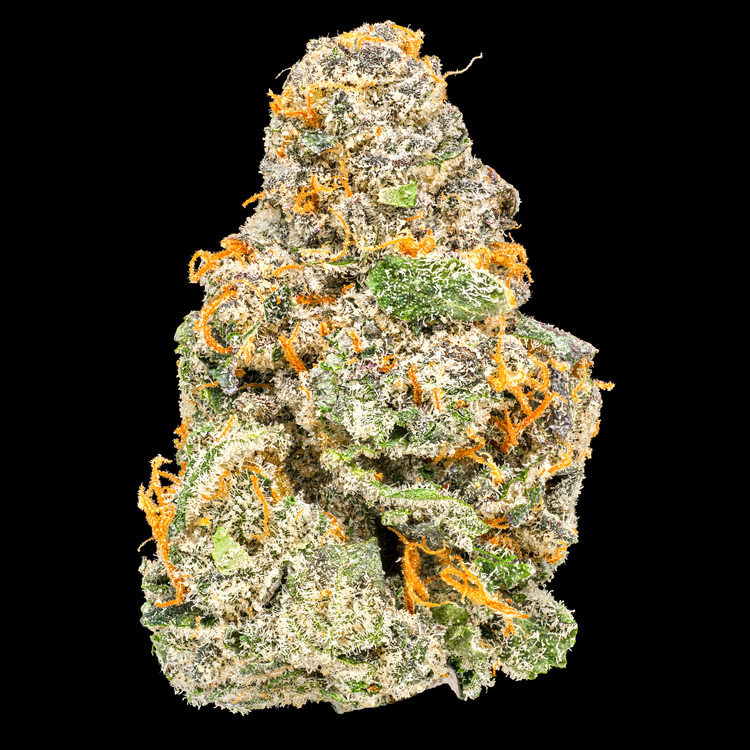 Drip Station Mini Buds