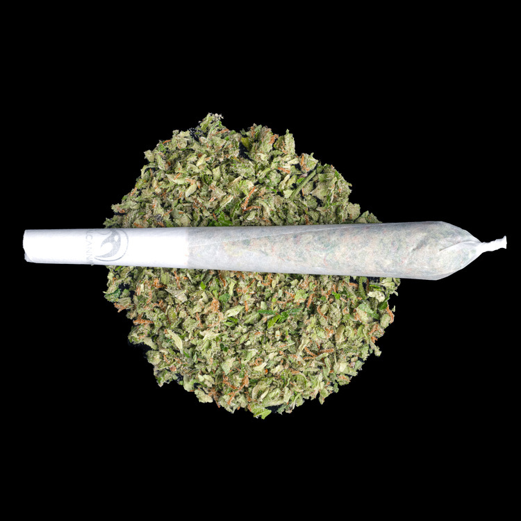 Lemon Cookies Pre Rolls