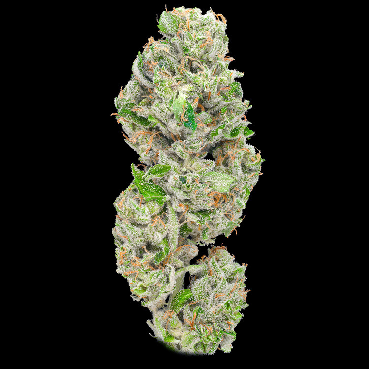 Sour Diesel