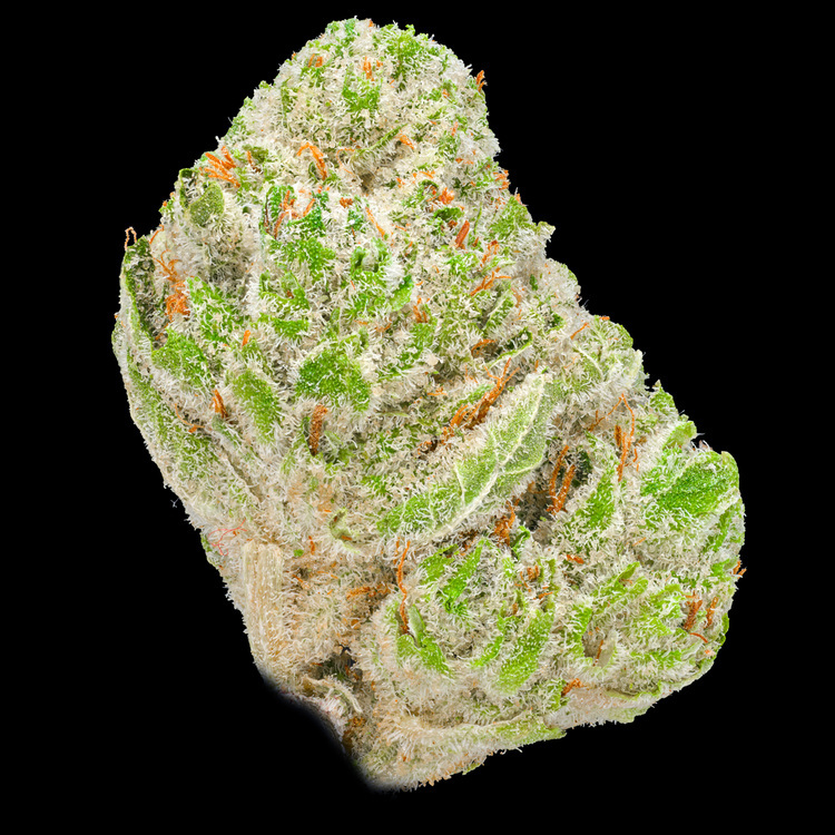 Gorilla Glue #4