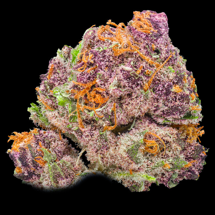 Dude Where's My Keys