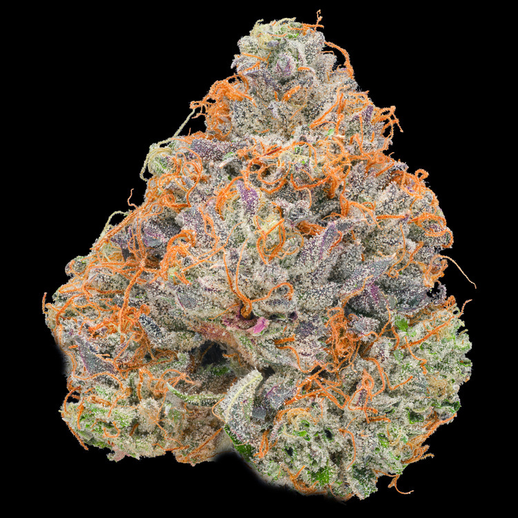 Spooky Z Signature Series