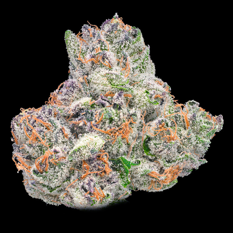 Lemon Cherry Gelato
