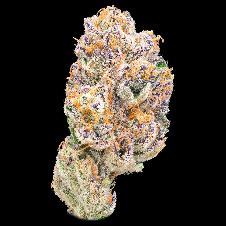 Lemon Riviera