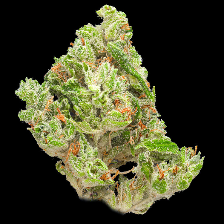 GG4 Flower