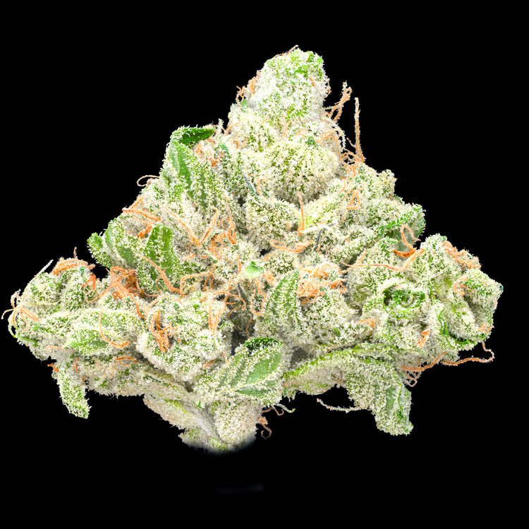 Citrus Sunrise