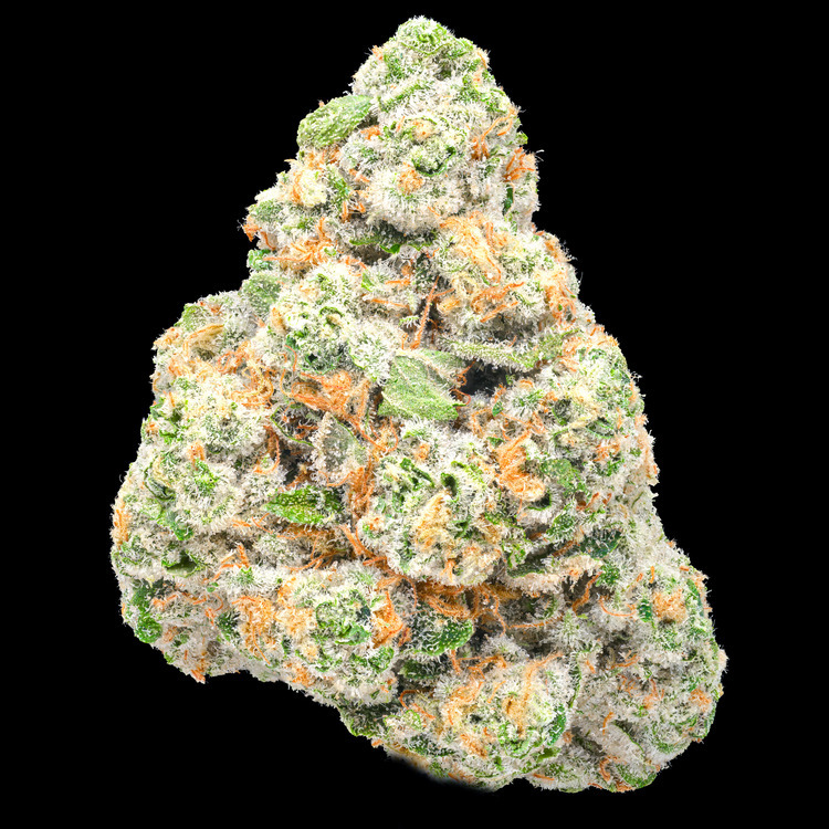 Cheetah Piss x Trophy Wife Flower