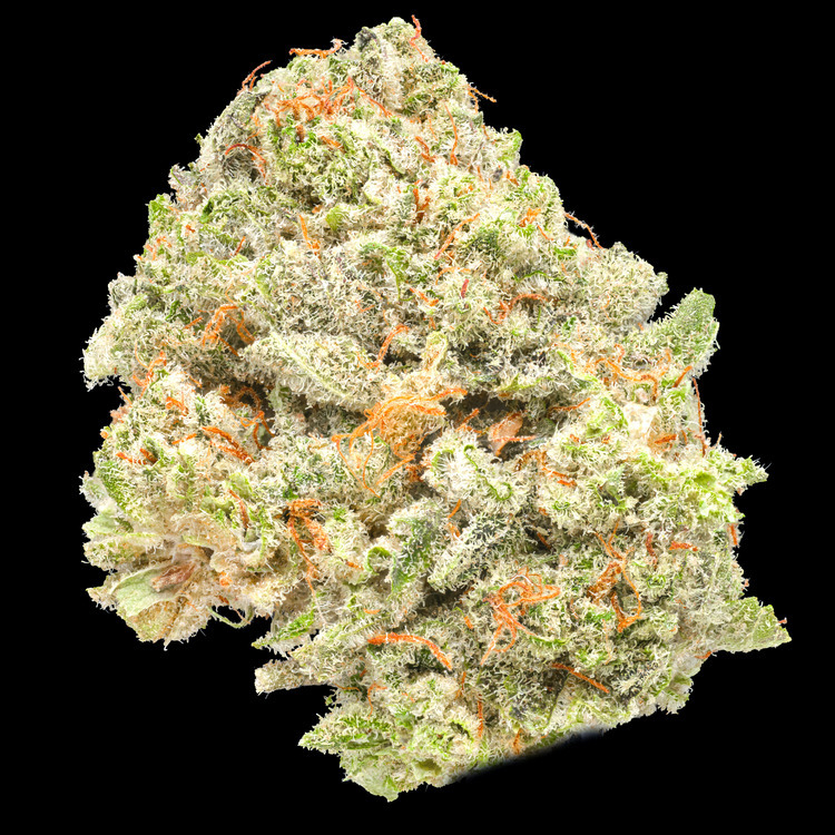 Durban Poison Small Buds