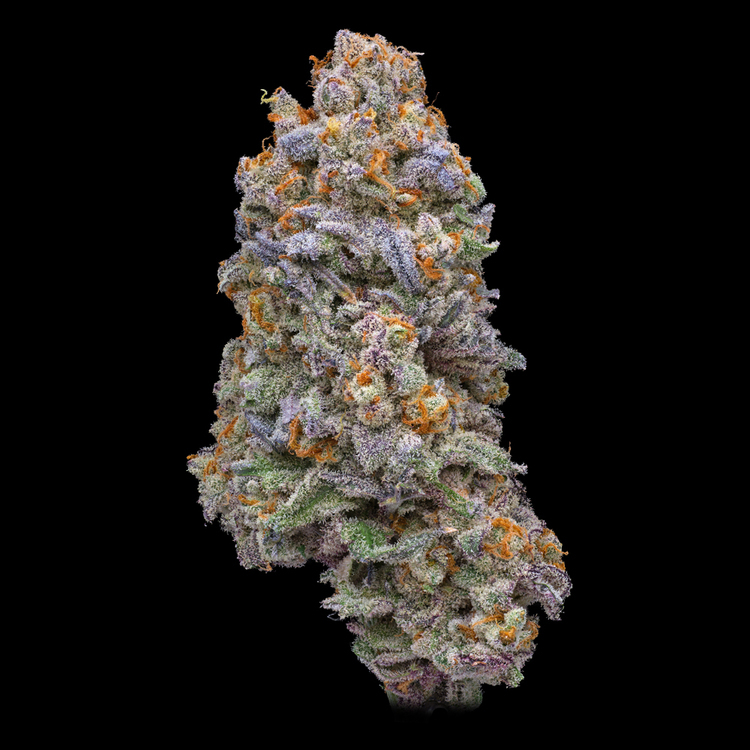 Tangerine Borealis #1 Signature Series