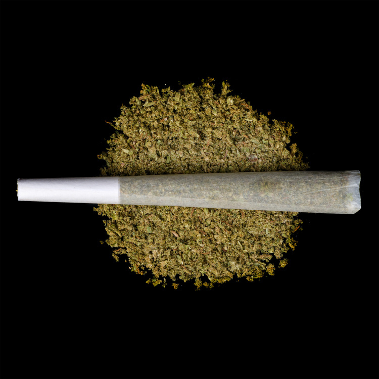 Tropic Honey Glue Bubble Hash Infused Preroll
