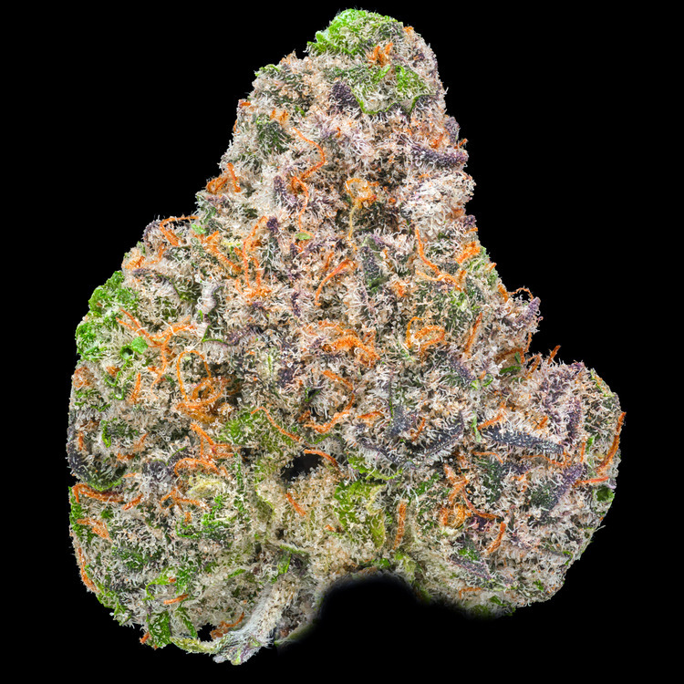 Blueberry Muffin