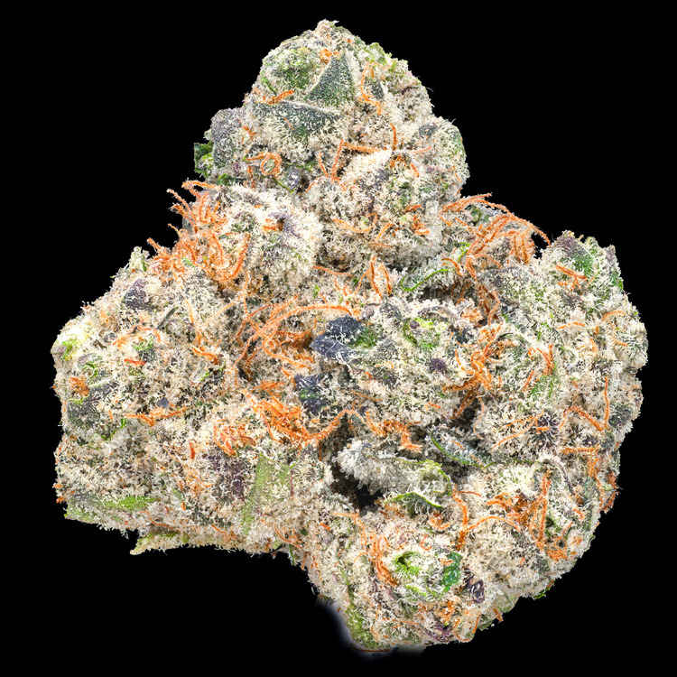 Honey Comb
