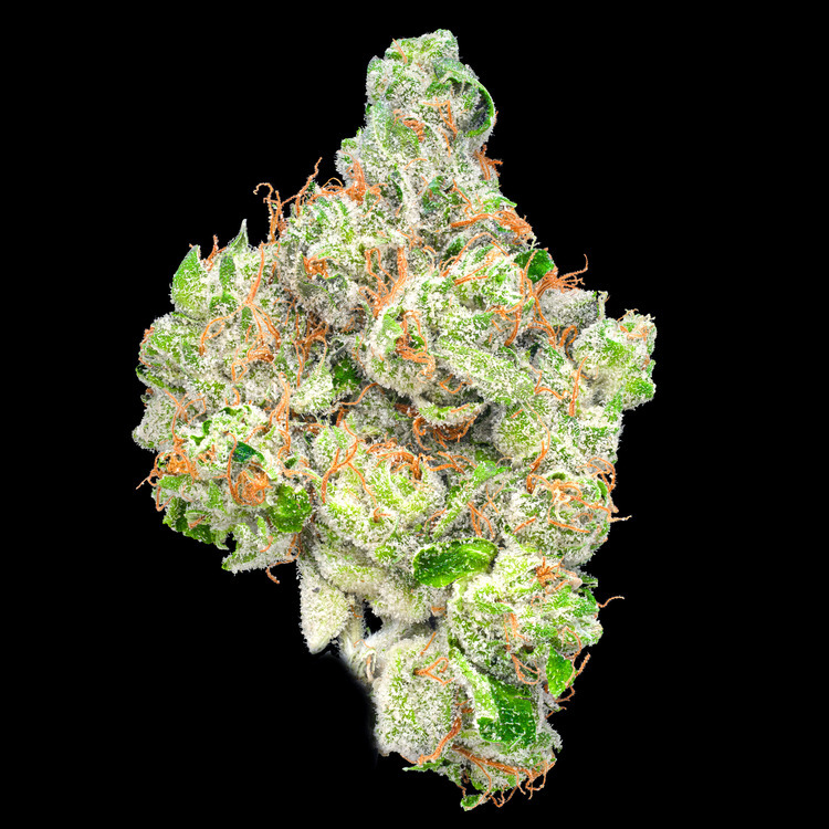 Blueberry Muffin