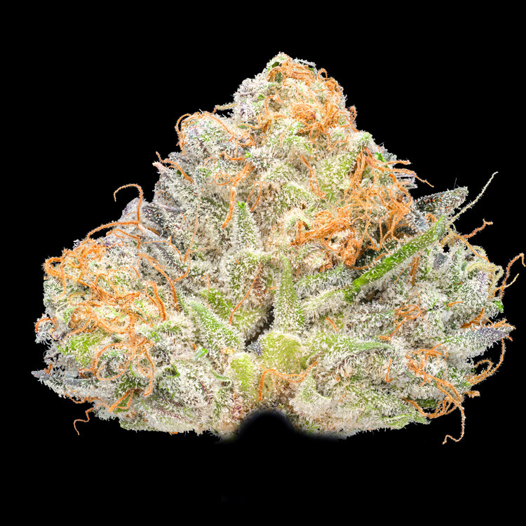 Dank Rainbow