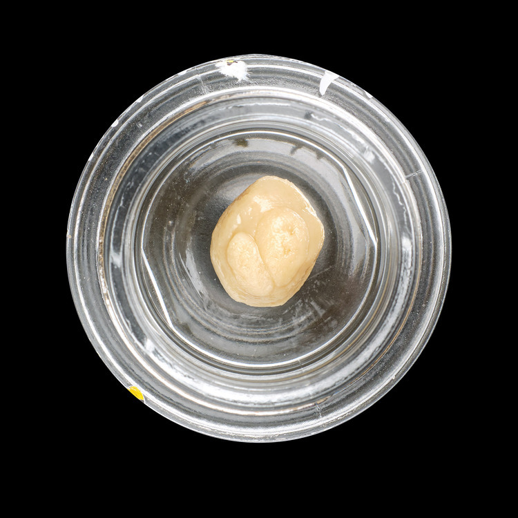 Candy Mac Rosin