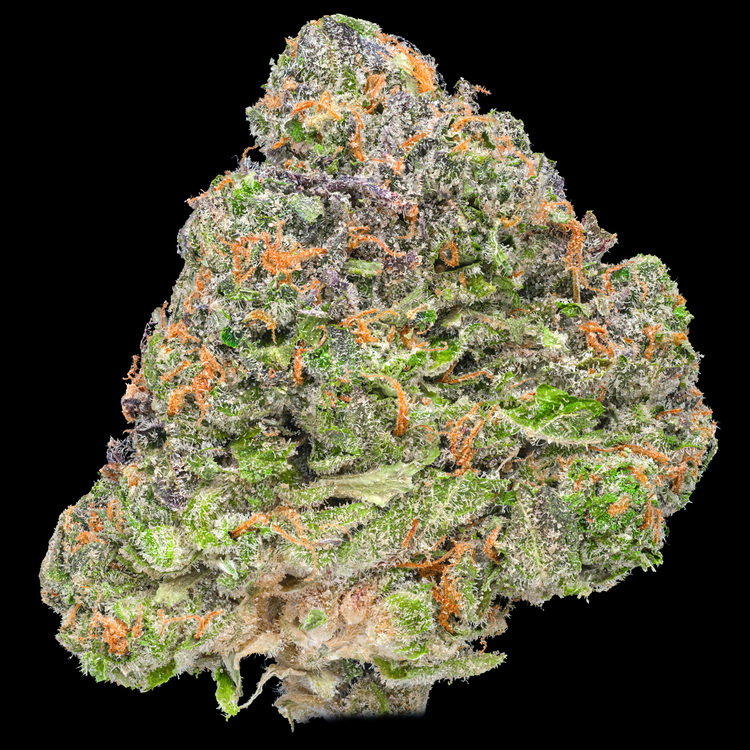 Apple Fritter