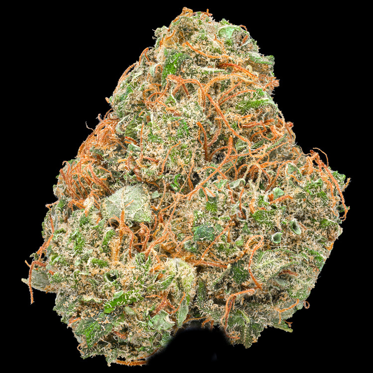 Dutch Haze