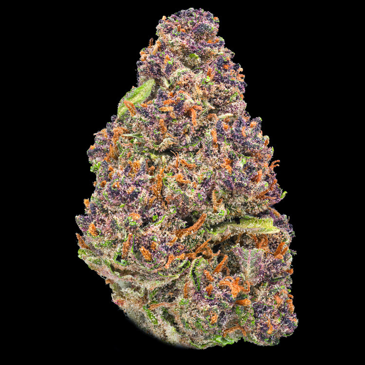 Mimosa