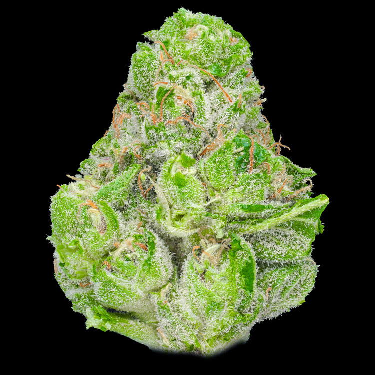 Sour Zoda
