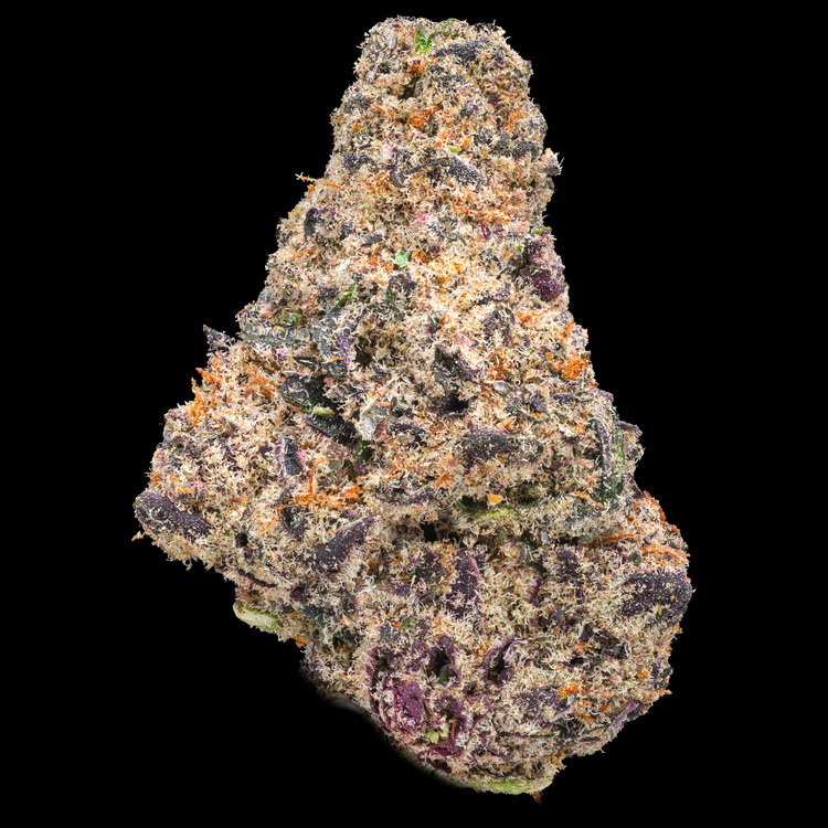 Gelato X