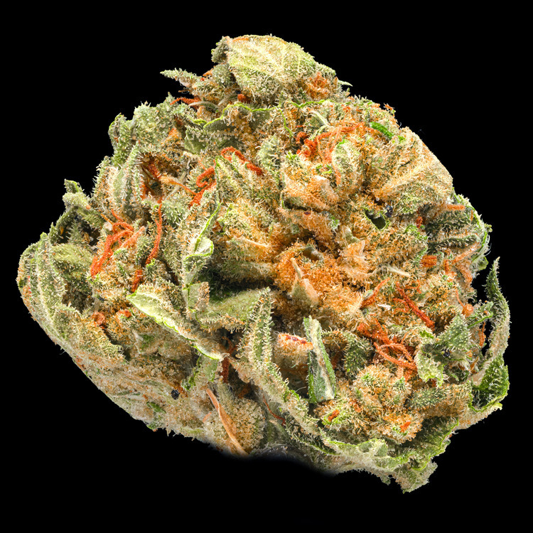 Papaya Bomb
