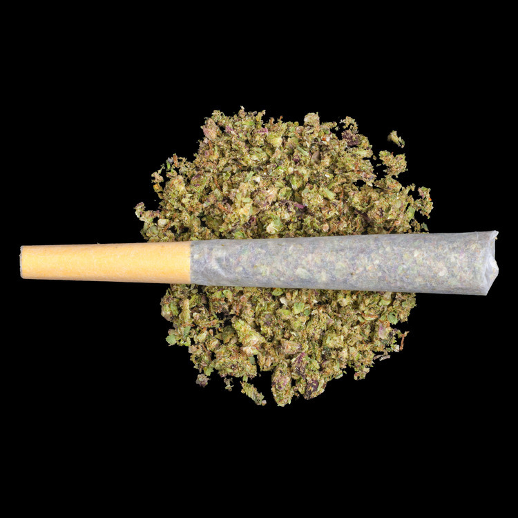 White Runtz Pre Rolls