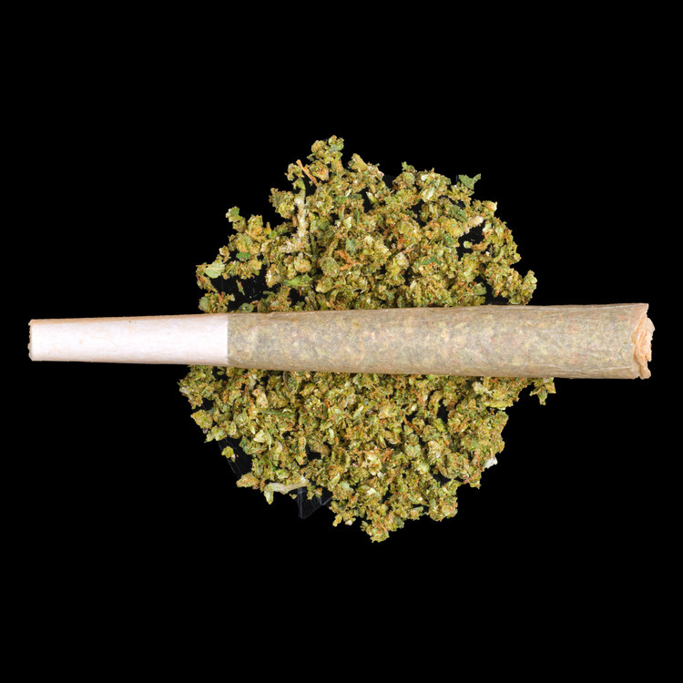 CBD Blends Prerolls