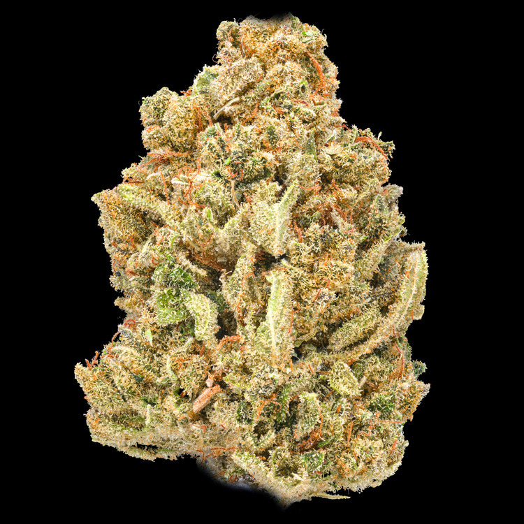 CBD Dancehall