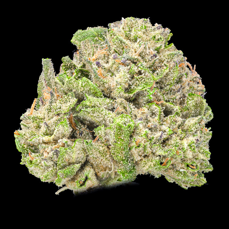 Gelato Cake