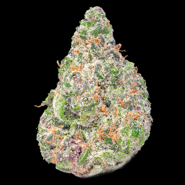 Citrus Punch