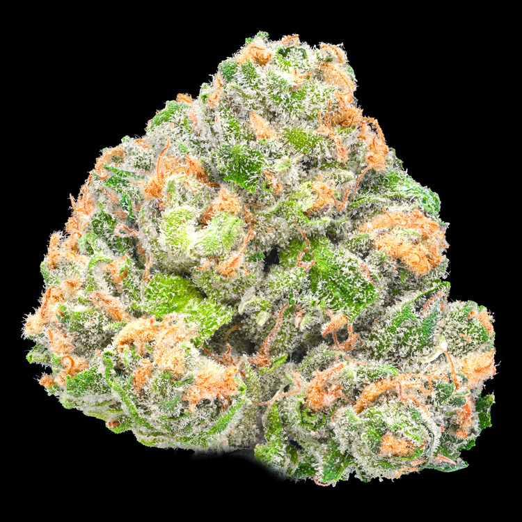 Bacio Gelato