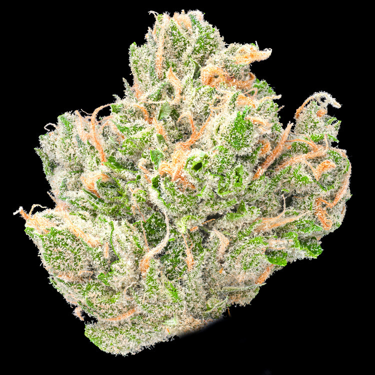 Blue Dream