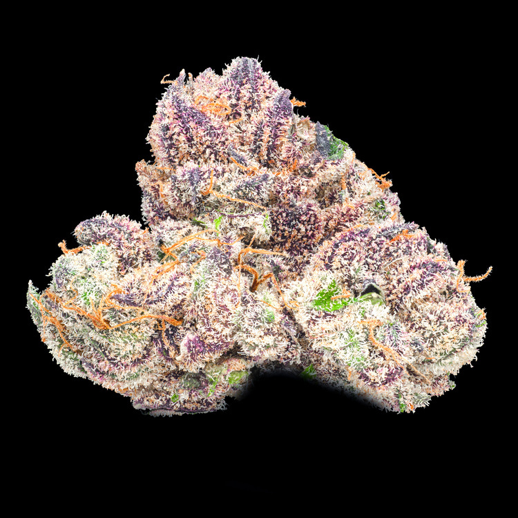 Purple Apricot