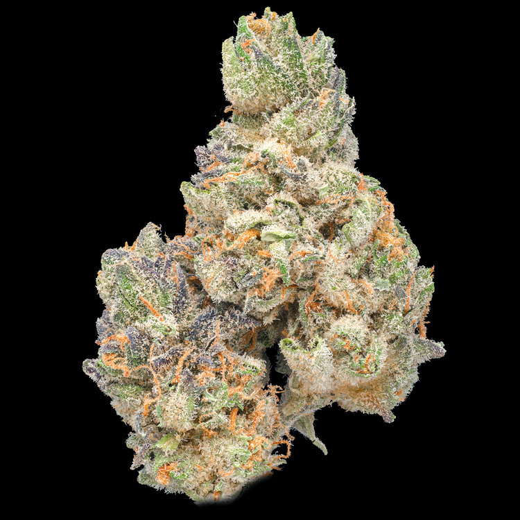 Spiked Punch #5 B-Line