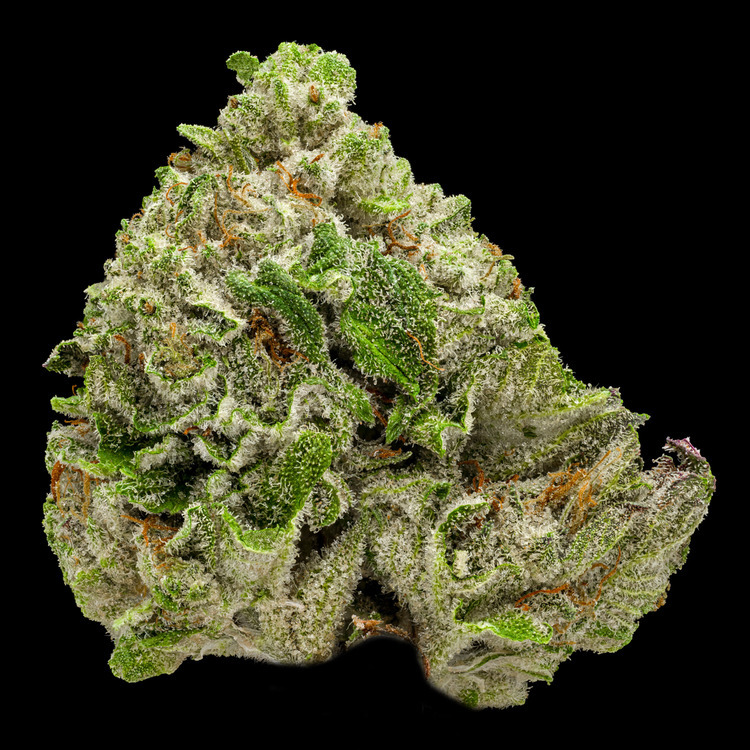 Raspberry Truffle