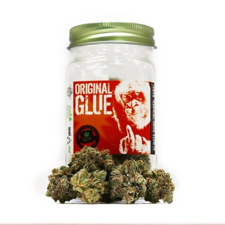 Original Glue
