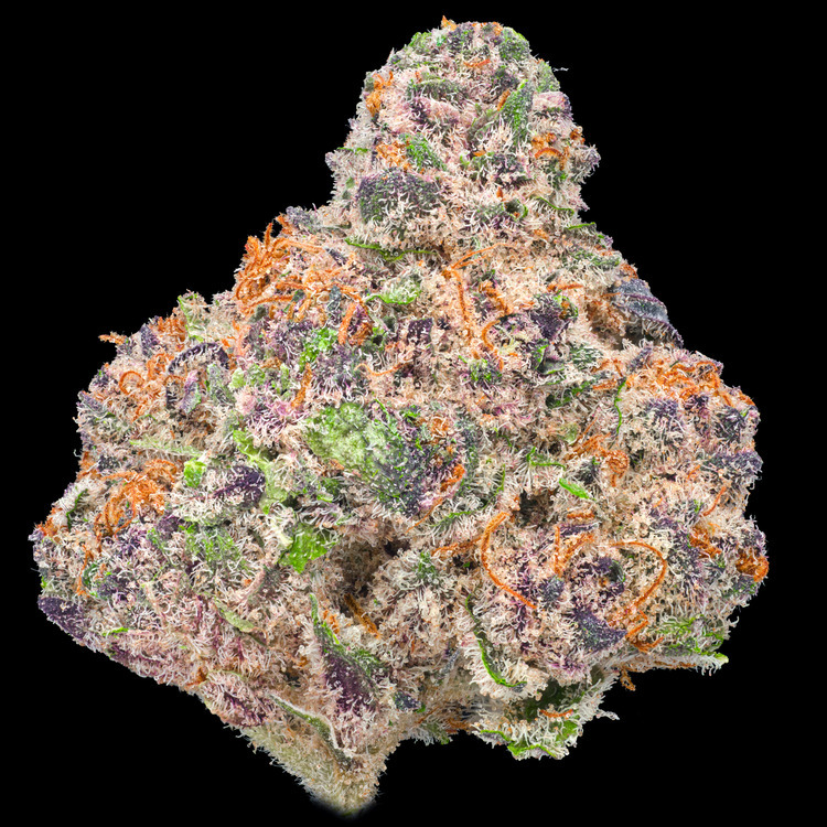 Tropicanna Runtz