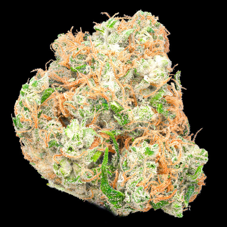 Dutch Hawaiian