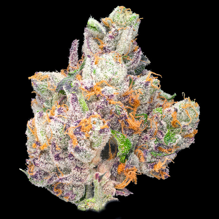 Blackberry Milkshake