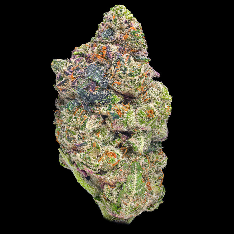 Sour Poison