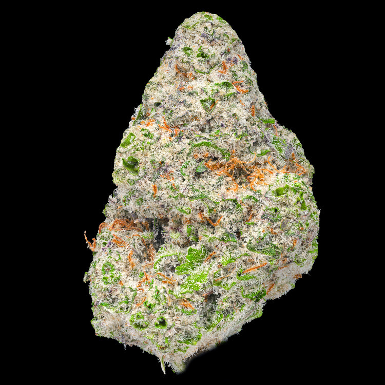 MAC